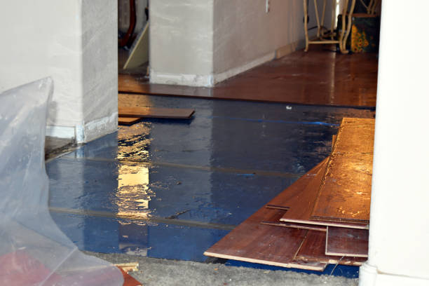 Professional Water Damage Restoration technician working in Pike, NH
